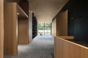 木飾面展示區(qū)效果圖設(shè)計